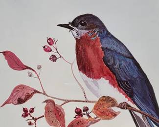 Detail of 'Eastern Bluebird" by William Langley Deagle, both framed and unframed prints in auction