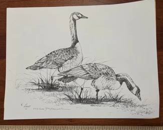 Lithograph print of a detailed graphite wildlife sketch by American wildlife artist John Moos