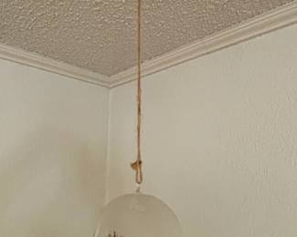 Hanging Glass Globe Terrarium with Moss