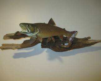 Taxidermy Trout