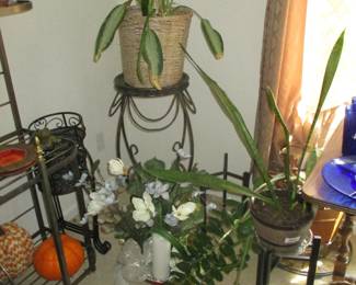 Live Plants