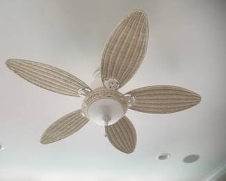 Lighted ceiling fan
