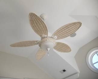 Lighted ceiling fan