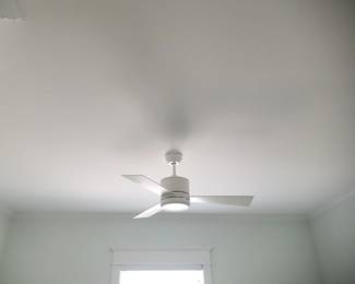 Lighted ceiling fan