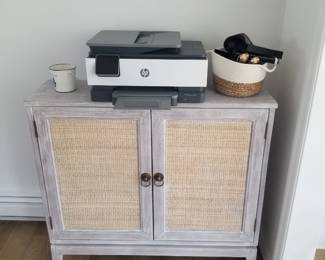 Cabinet. Owner keeping printer