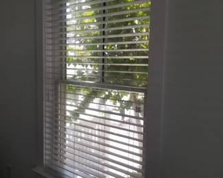 Blinds
