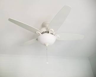 Lighted ceiling fan