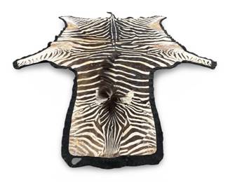 Old Zebra Taxidermy Hide Rug Pelt