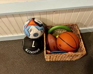 Sports Balls and Frisbees Lot