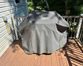 Weber Spirit II Grill