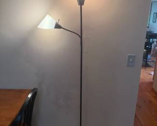 Adjustable Black Floor Lamp