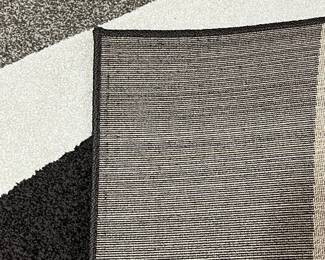 H82 - $35. Alfrombra Area Rug. Good condition with some spots. Measures 84” W x 120“ Long.