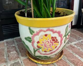 H23 - $25. Potted Snake Plant. Pot Measures 12.5” Diameter x 11” Tall.