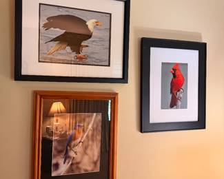 Framed Artwork
