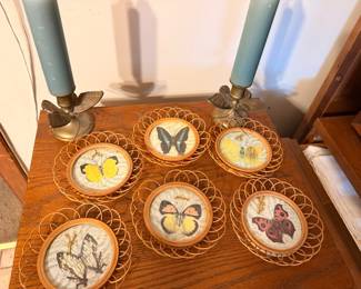 Pressed Butterfly Coasters