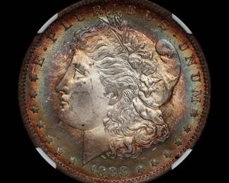 Toned Morgan Dollar