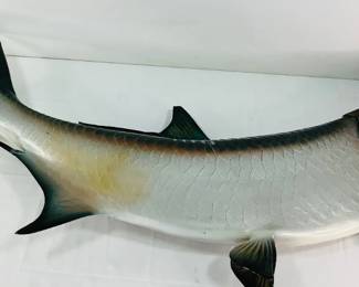 Tarpon Fish Mount