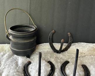 Metal, pale and horseshoe hooks