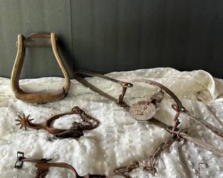 Stirrup and spur