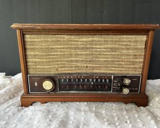 Zenith radio