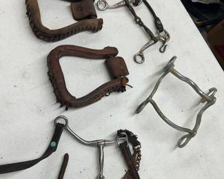 Horse miscellaneous 