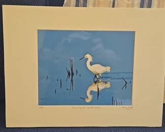 P. Shaw Snowy Egret - Egretta Thula Limited Edition Photograph