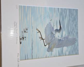 Snowy Egret - Bolinas by Shaw (11/50)