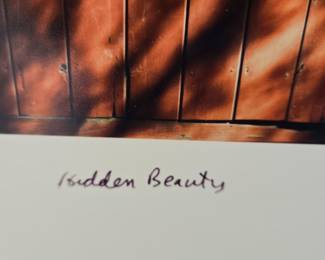 Hidden Beauty, Photographic Print by C. Pshaw (2010)