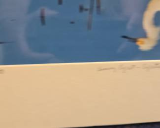 P. Shaw Snowy Egret - Egretta Thula Limited Edition Photograph
