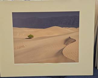 Death Valley Desert Landscape Photographic Print