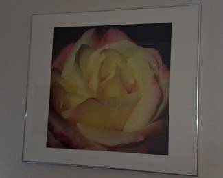 Floral Rose Photographic Print size 20"x21" without frame