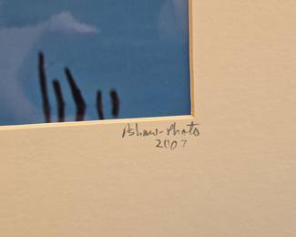 P. Shaw Snowy Egret - Egretta Thula Limited Edition Photograph