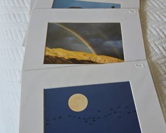 Collection of Matted Photographic Prints - Nature and Wildlife