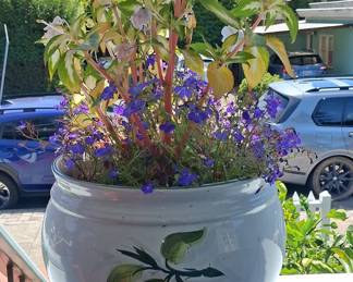 Italian Majolica Fruit-Decorated Cachepot with Lobelia and Impatiens