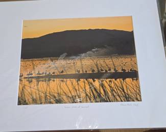 Snow Geese at Sunset, Limited Edition Photograph by R. Shaw