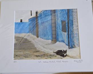 Limited Edition Photograph - Cat, Oudaias Kasbah, Rabat, Morocco