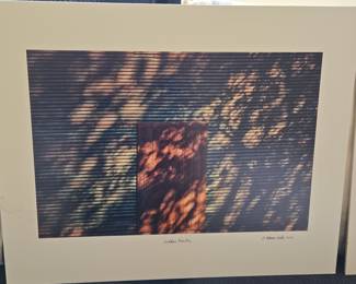 Hidden Beauty, Photographic Print by C. Pshaw (2010)