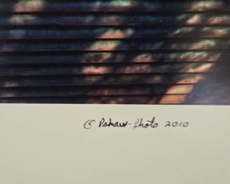 Hidden Beauty, Photographic Print by C. Pshaw (2010)