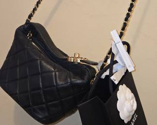Chanel Black Quilted Lambskin Chain Around Pouch Hobo Bag