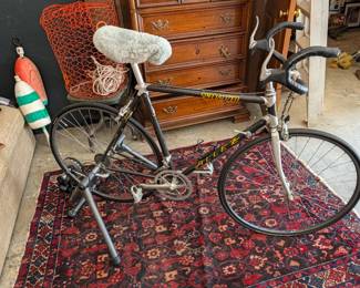 Specialized ALLEZ Bike w/ Trainer