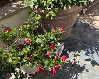 Really pretty pots