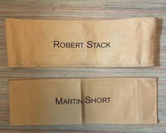 Director Chair backs