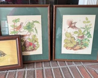 R Dorman Bird Prints