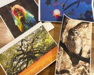 Striking collection of nature and wildlife photography prints featuring a colorful bird, majestic oak tree, watchful owl, and dramatic moonlit scene—ready to frame and display! 🦉🌳✨