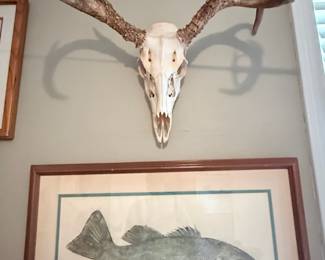 Rustic sporting décor featuring an impressive antlered deer skull and a large framed fish print.