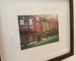 Framed photograph of ivy covered college building