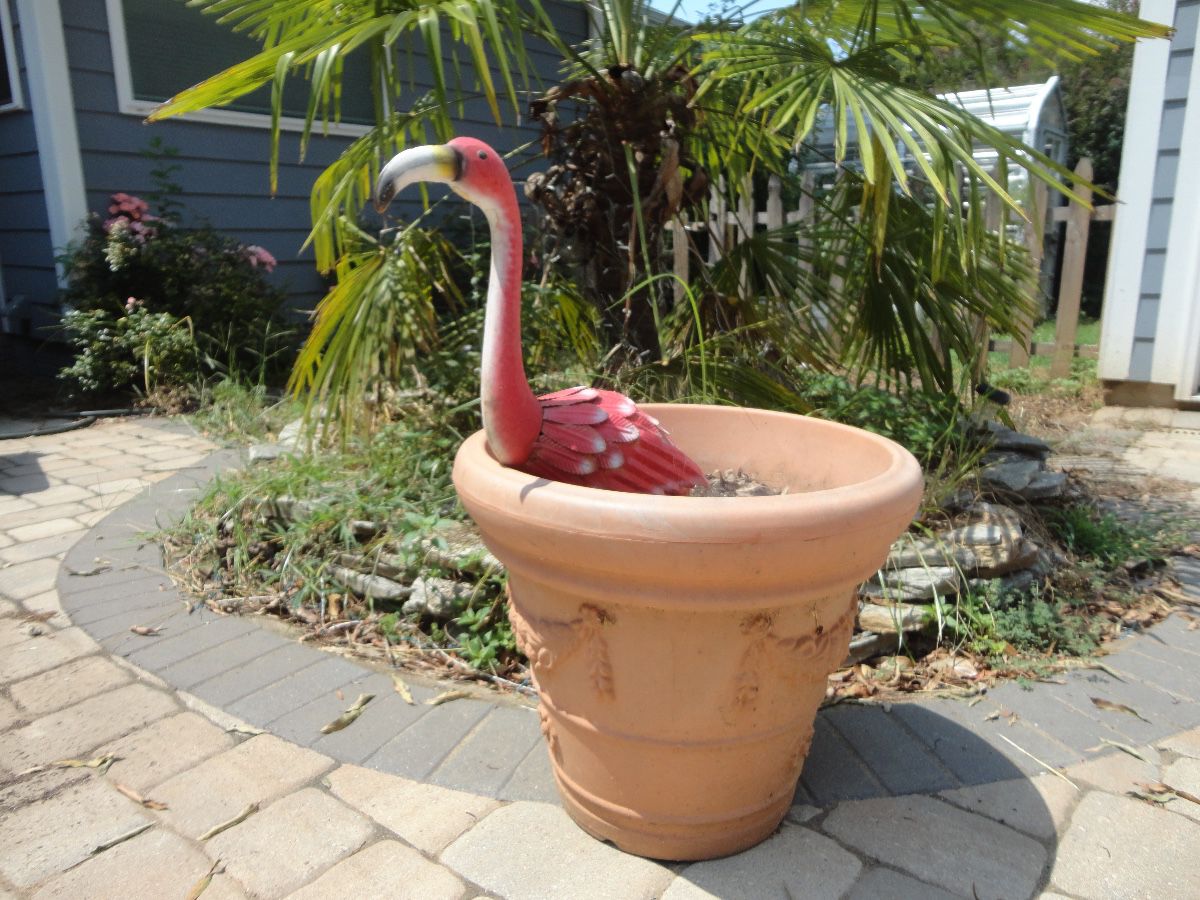 Flamingo flew out yesterday