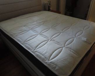 Queen Mattress in Great Shape