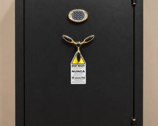 Large Sentry safe 59"h x 38"w
