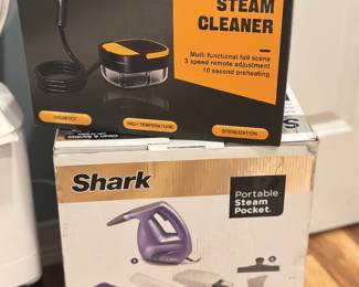 Steam cleaners